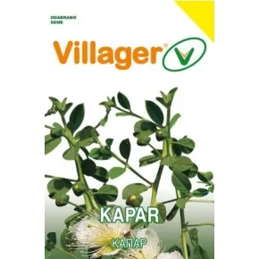 Začin KAPAR Villager