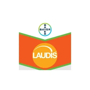 Laudis 1l