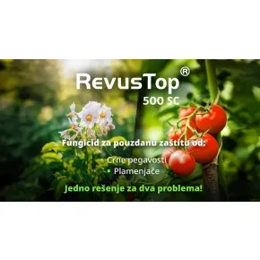 REVUS