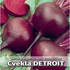 Cvekla Detroit