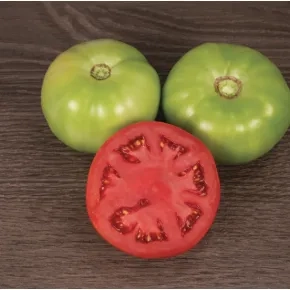 Seme paradajz Varsity F1 - 1000 semena 