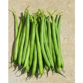 Boranija Jagur 1kg (zelena boranija)