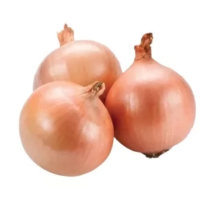 Crni luk KUPUSINSKI JABUČAR 20 g