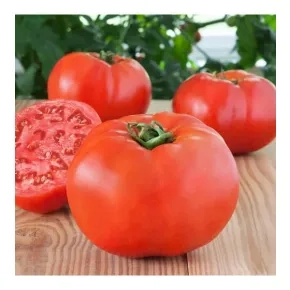 Paradajz Amati F1