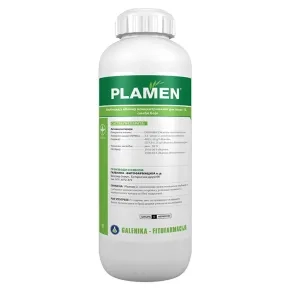 Plamen