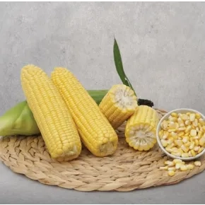 Kukuruz Šećerac Baha F1