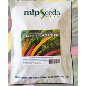 Blitva Verte a Carde Couleur