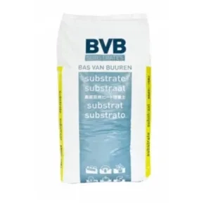 Seedling BVB 280 lit