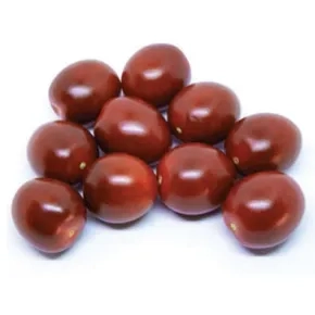 Paradajz Chocolina F1