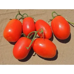 Paradajz Carioca (Rio Grande)