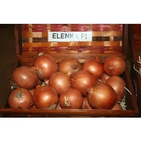 Luk Elenka F1 - 250 000 semena