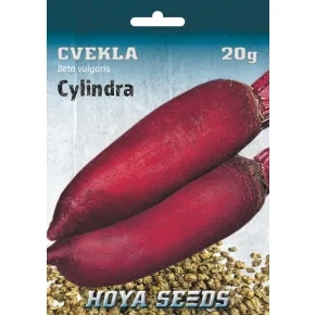 Cvekla Cylindra 20 g