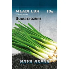 Mladi luk domaći ozimi KYOTO 10 g
