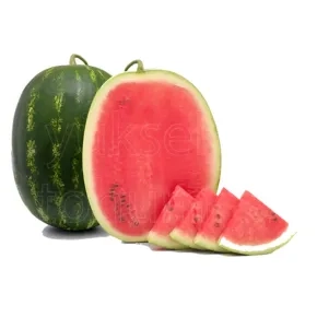 Seme Lubenice UZMAN F1 – 500 semena