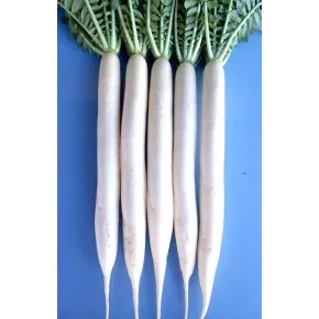 Daikon rotkva Mino summer tops