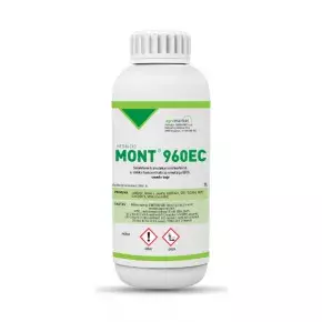 Mont 960 EC