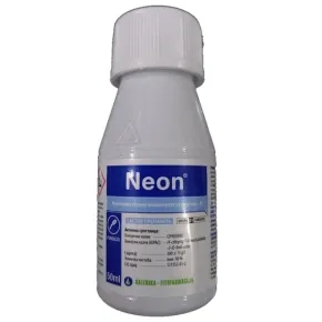 Neon
