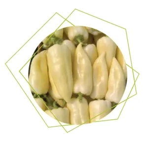 Paprika Skytia ez F1