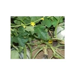 Podloga za kalem Routpower