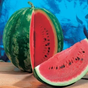 Lubenica Super Crimson Sweet