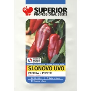 Paprika Slonovo uvo