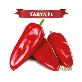 Paprika Yahya F1 500s
