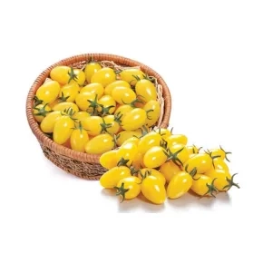 Paradajz Zitronina F1